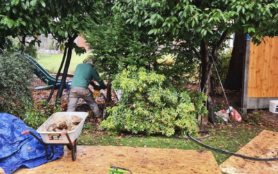 Fence Installations and Garden Maintenance