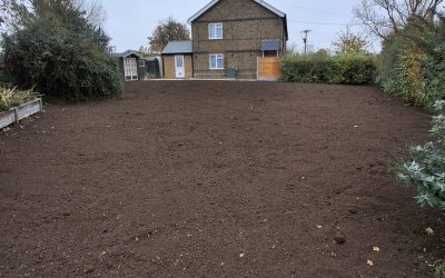 Garden Landscaping in Progress