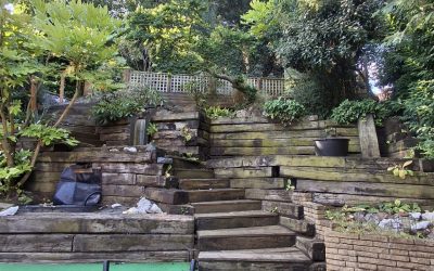 A landscaping challenge…